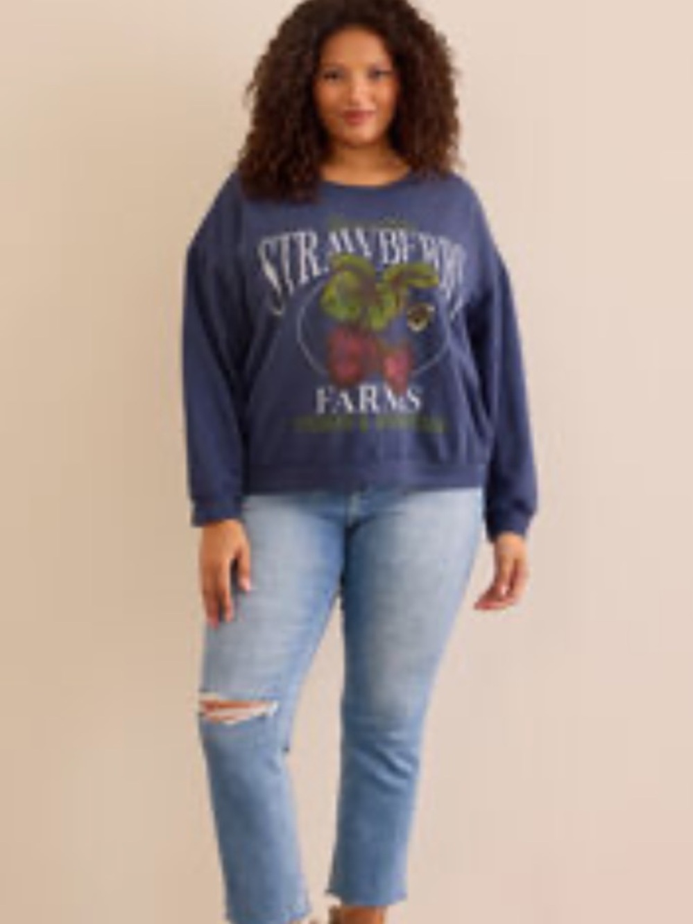 Arula Strawberry Farms Navy Crewneck Sweatshirt NWT 2X